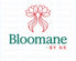 Bloomane By NK - Home